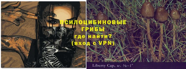 2c-b Верхний Тагил