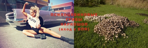 мяу мяу мука Верхнеуральск